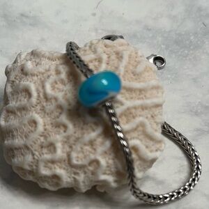 Trollbeads Rare One of A Kind Armadillo Bead